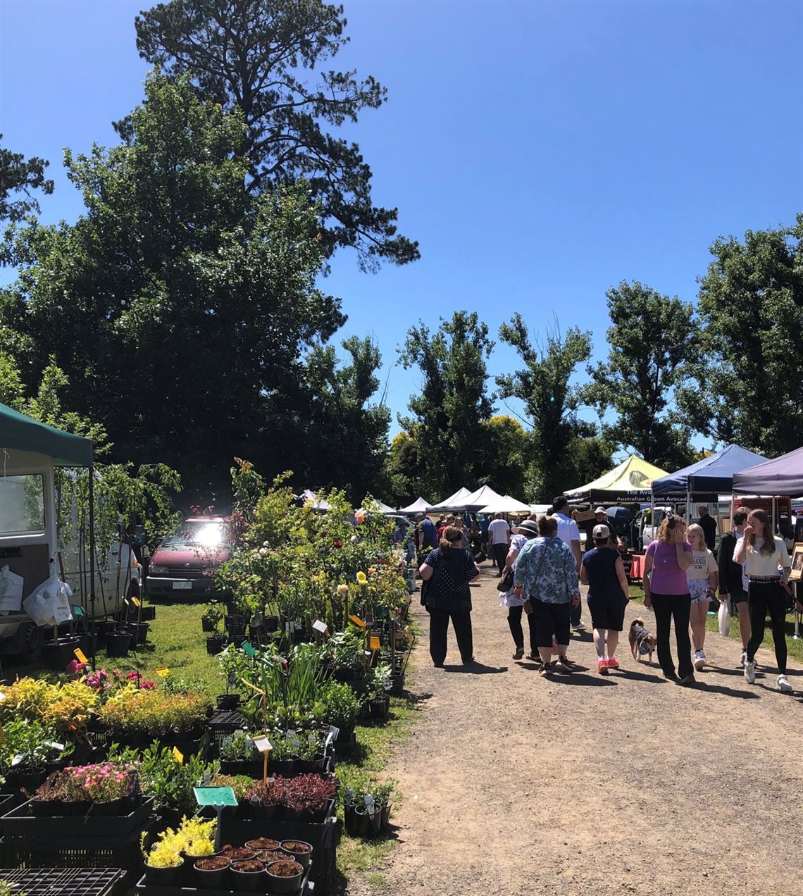 Whittlesea-Monday-Market.jpg