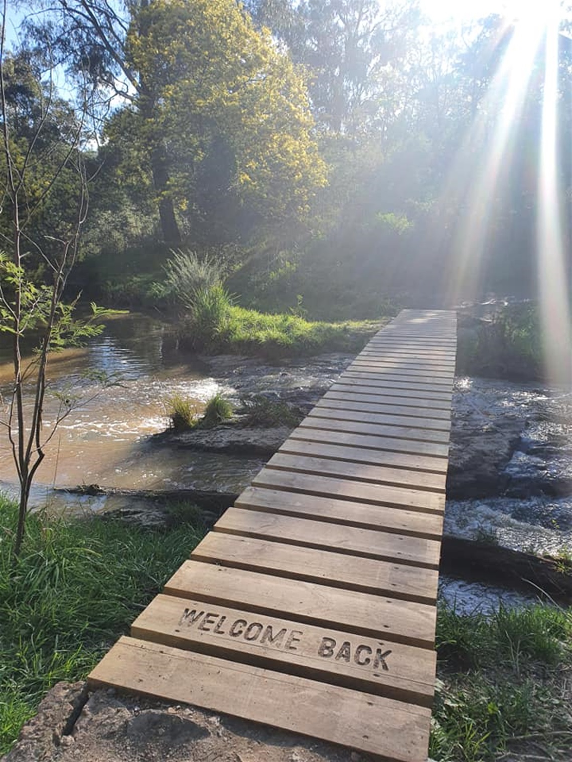 Bushwalking Plenty Gorge.jpg